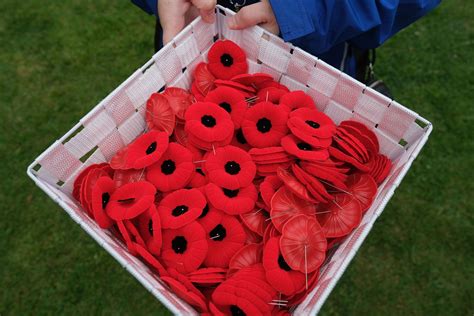 where to buy anzac day poppies